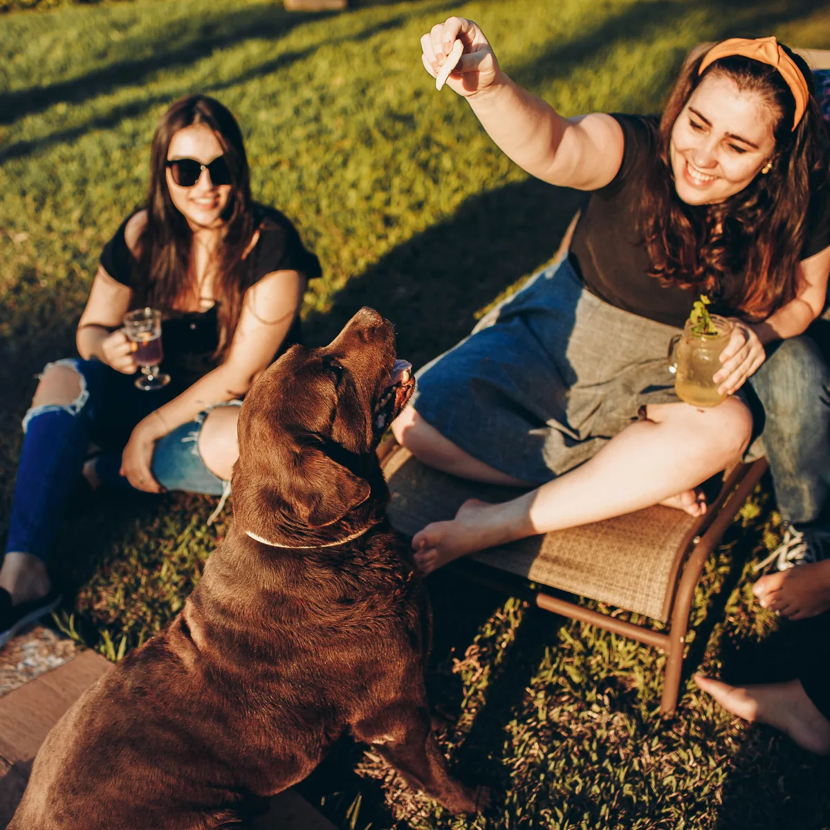 Friends sitting on the grass with a dog reaching for a treat